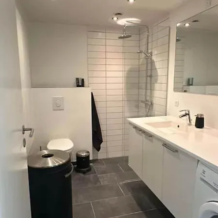 Habor With Access To The Harbor Sauna And Pool Appartement Odense