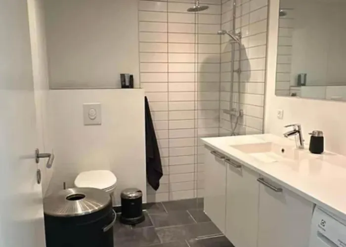 Habor With Access To The Harbor Sauna And Pool Appartement Odense